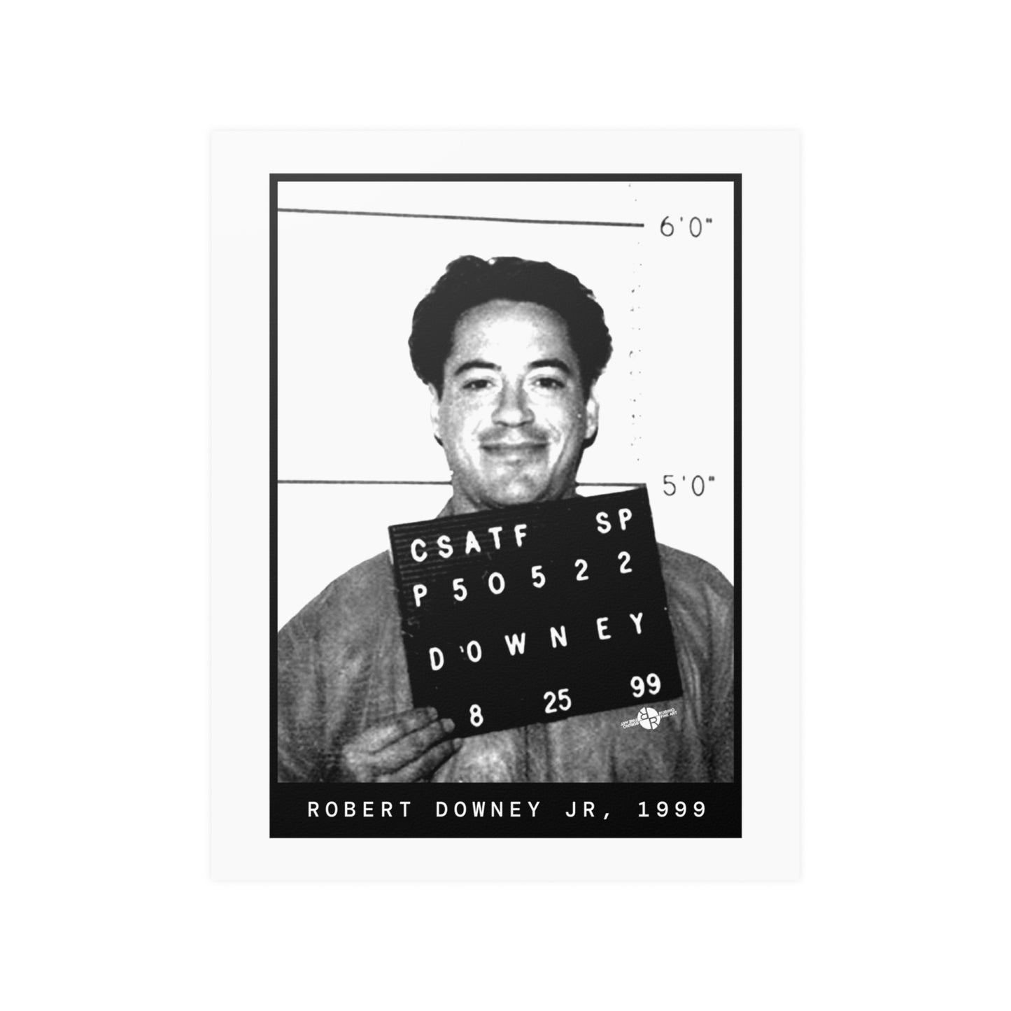 Robert Downey Jr. 1999 Actor Mugshot Poster