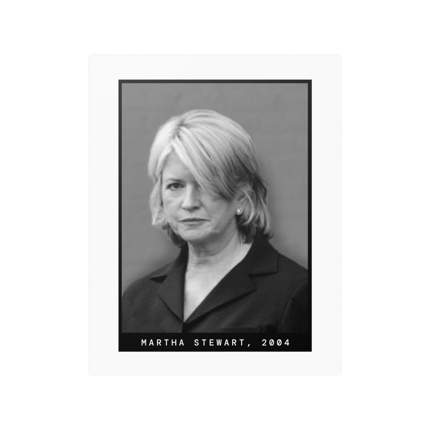 Martha Stewart, 2004 Celebrity Mugshot Poster