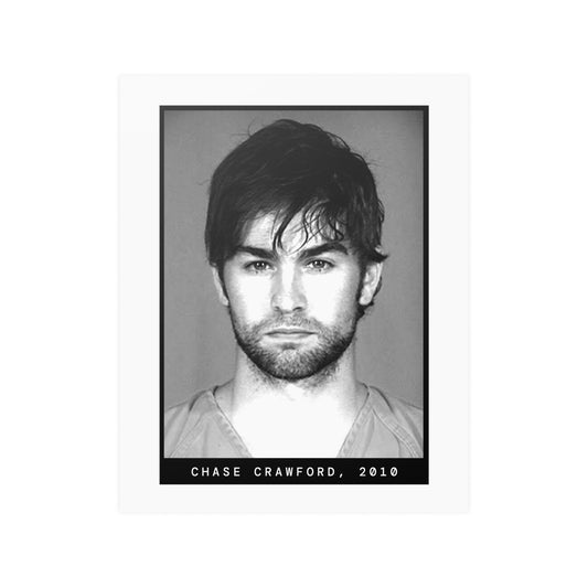 Chase Crawford, 2010 Celebrity Mugshot Poster