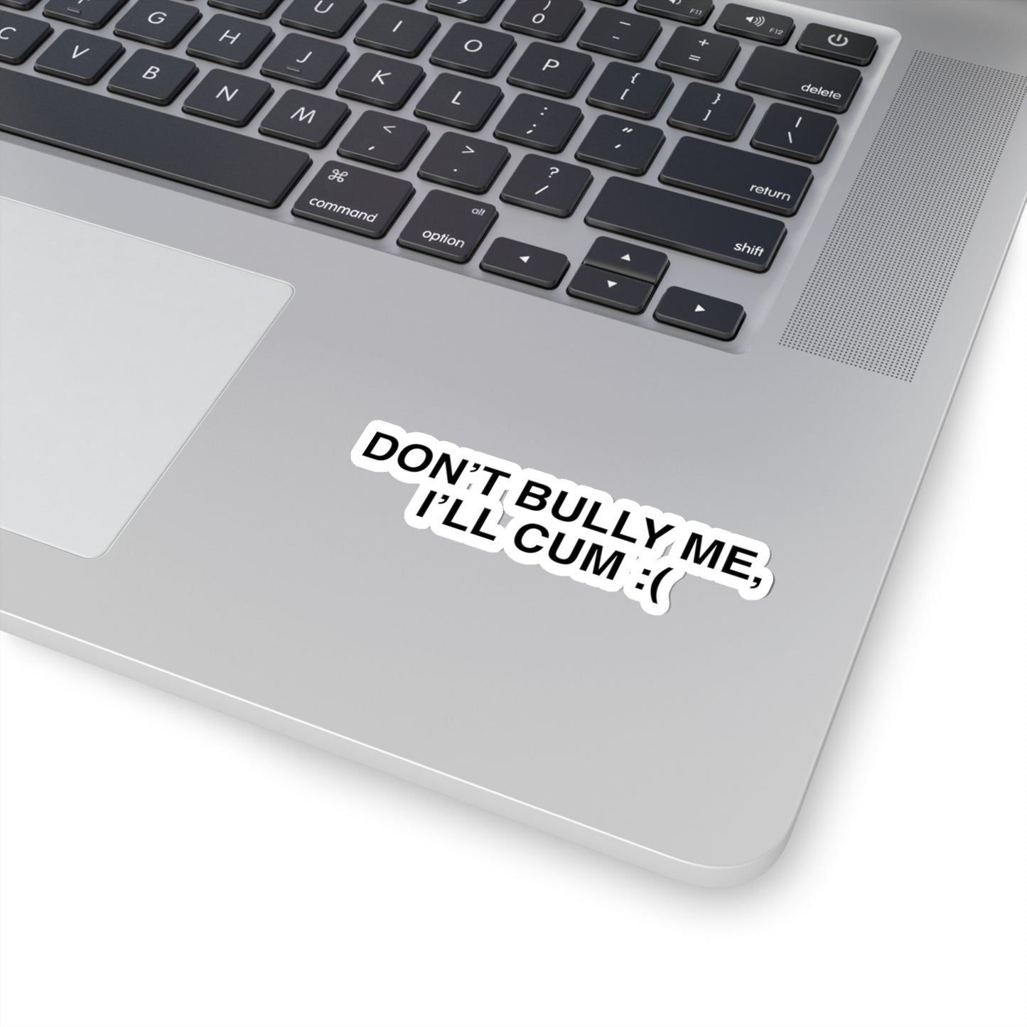 Don't Bully Me I'll Cum, Funny Meme Sticker